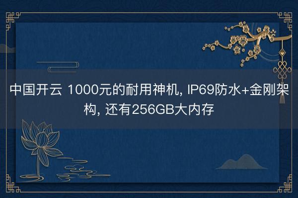 中国开云 1000元的耐用神机， IP69防水+金刚架构， 还有256GB大内存