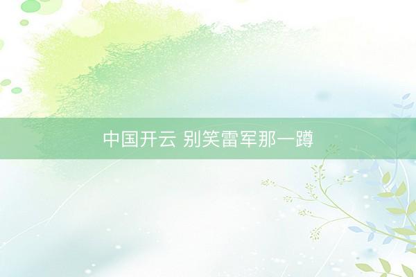 中国开云 别笑雷军那一蹲
