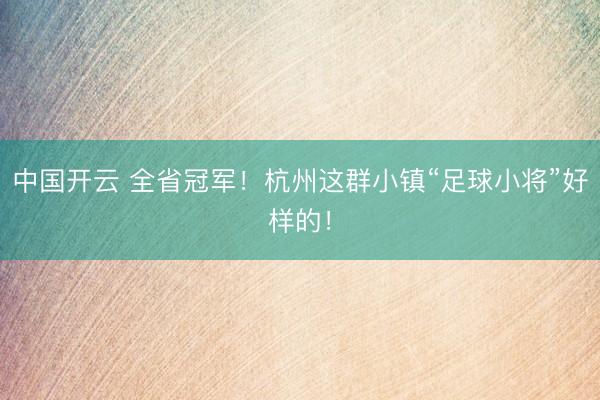 中国开云 全省冠军！杭州这群小镇“足球小将”好样的！