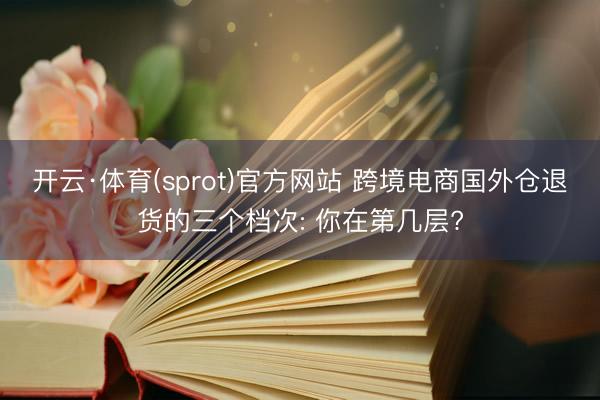 开云·体育(sprot)官方网站 跨境电商国外仓退货的三个档次: 你在第几层?