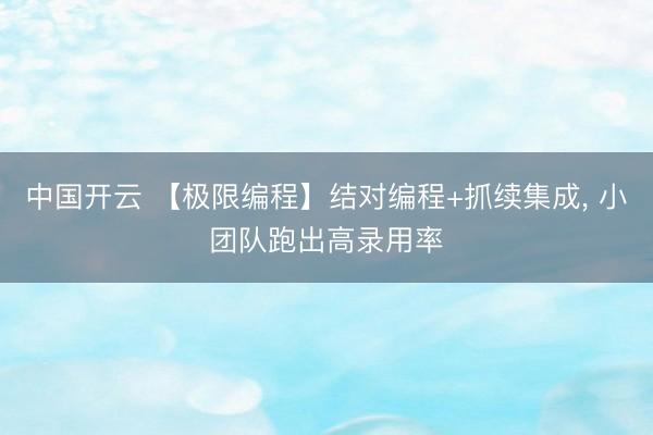 中国开云 【极限编程】结对编程+抓续集成, 小团队跑出高录用率