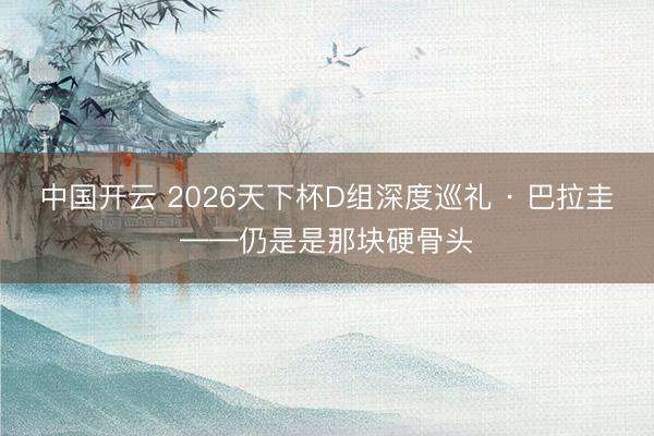 中国开云 2026天下杯D组深度巡礼 · 巴拉圭——仍是是那块硬骨头