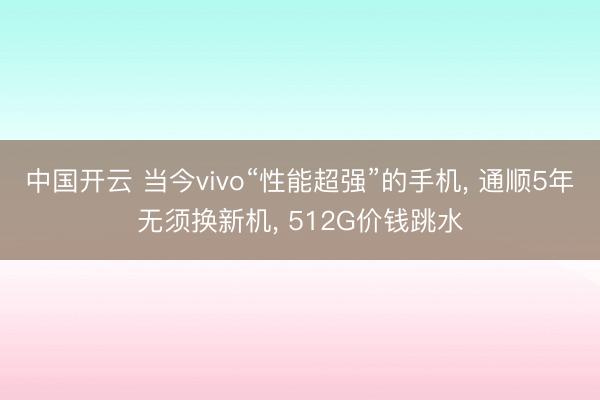 中国开云 当今vivo“性能超强”的手机， 通顺5年无须换新机， 512G价钱跳水