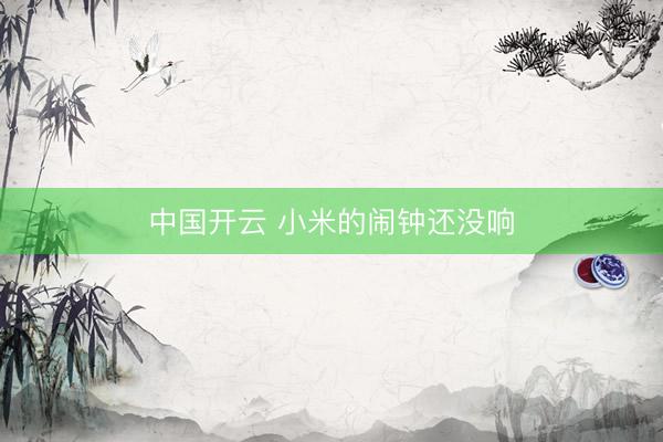 中国开云 小米的闹钟还没响