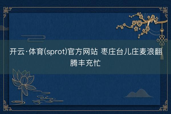 开云·体育(sprot)官方网站 枣庄台儿庄麦浪翻腾丰充忙