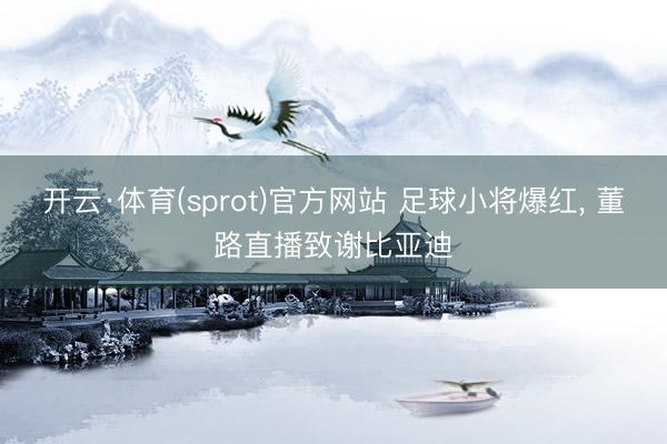 开云·体育(sprot)官方网站 足球小将爆红， 董路直播致谢比亚迪