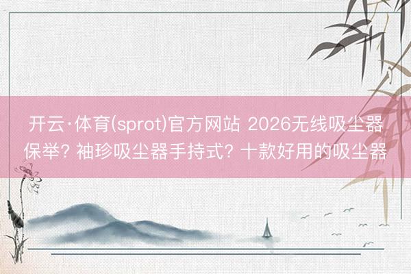 开云·体育(sprot)官方网站 2026无线吸尘器保举? 袖珍吸尘器手持式? 十款好用的吸尘器