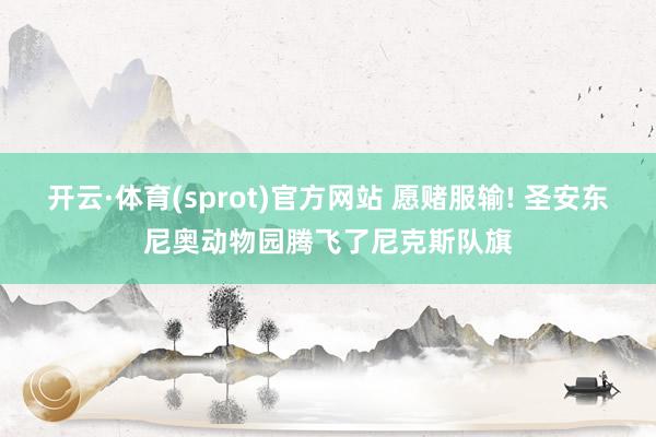 开云·体育(sprot)官方网站 愿赌服输! 圣安东尼奥动物园腾飞了尼克斯队旗